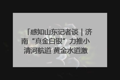 感知山东记者谈｜济南“真金白银”力推小清河航道 黄金水道激活区域经济新动能