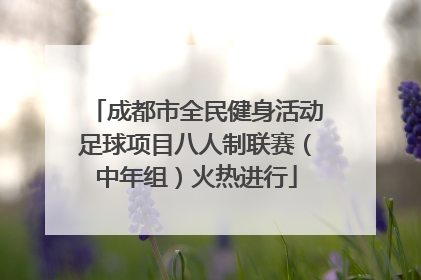 成都市全民健身活动足球项目八人制联赛（中年组）火热进行