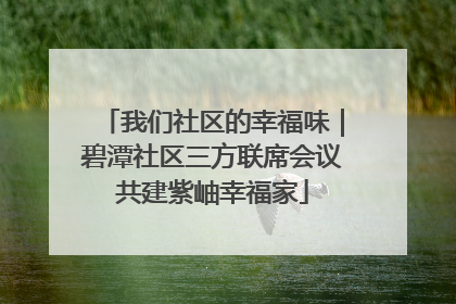 我们社区的幸福味｜碧潭社区三方联席会议共建紫岫幸福家