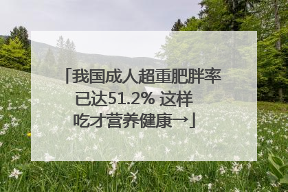 我国成人超重肥胖率已达51.2% 这样吃才营养健康→