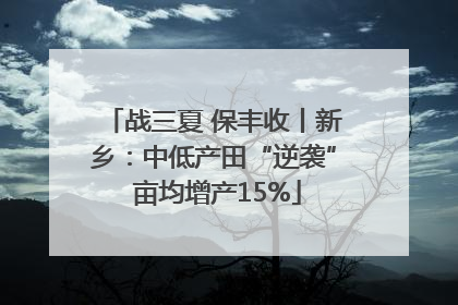 战三夏 保丰收丨新乡：中低产田“逆袭” 亩均增产15%