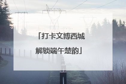 打卡文博西城 解锁端午楚韵