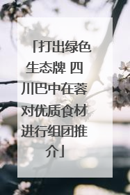 打出绿色生态牌 四川巴中在蓉对优质食材进行组团推介