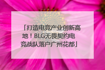 打造电竞产业创新高地！BLG无畏契约电竞战队落户广州花都