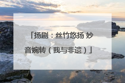 扬剧：丝竹悠扬 妙音婉转（我与非遗）