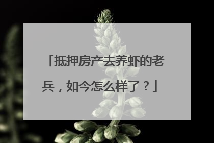 抵押房产去养虾的老兵，如今怎么样了？