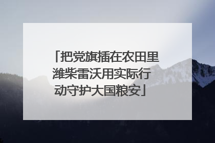把党旗插在农田里 潍柴雷沃用实际行动守护大国粮安