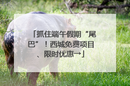 抓住端午假期“尾巴”！西城免费项目、限时优惠→