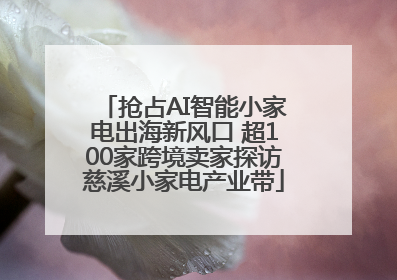 抢占AI智能小家电出海新风口 超100家跨境卖家探访慈溪小家电产业带