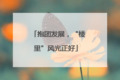 抱团发展，“楼里”风光正好