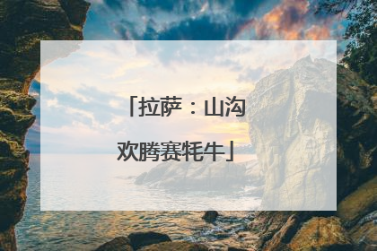 拉萨：山沟欢腾赛牦牛