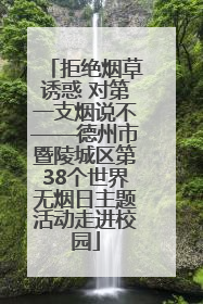 拒绝烟草诱惑 对第一支烟说不——德州市暨陵城区第38个世界无烟日主题活动走进校园