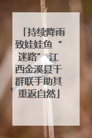 持续降雨致娃娃鱼“迷路” 江西金溪县干群联手助其重返自然