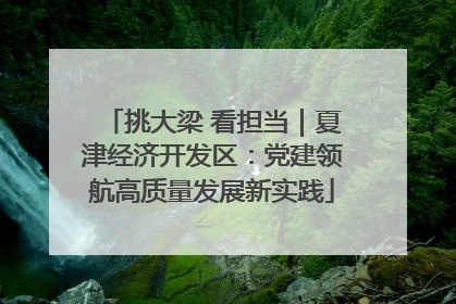 挑大梁 看担当｜夏津经济开发区：党建领航高质量发展新实践