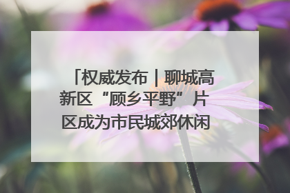 权威发布｜聊城高新区“顾乡平野”片区成为市民城郊休闲全新目的地