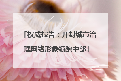 权威报告：开封城市治理网络形象领跑中部