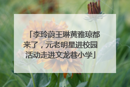 李玲蔚王琳黄雅琼都来了，元老明星进校园活动走进文龙巷小学
