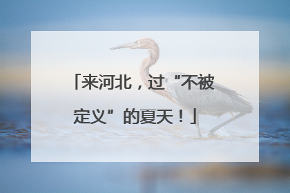 来河北，过“不被定义”的夏天！