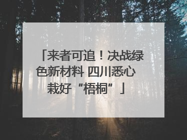来者可追！决战绿色新材料 四川悉心栽好“梧桐”