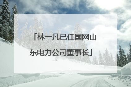 林一凡已任国网山东电力公司董事长