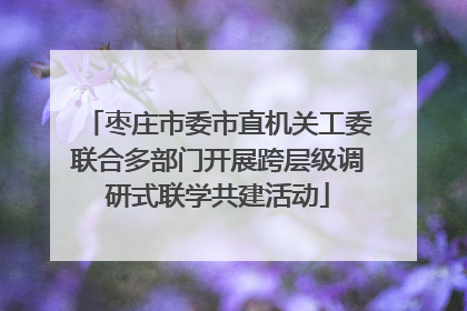 枣庄市委市直机关工委联合多部门开展跨层级调研式联学共建活动