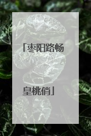 枣阳路畅皇桃俏