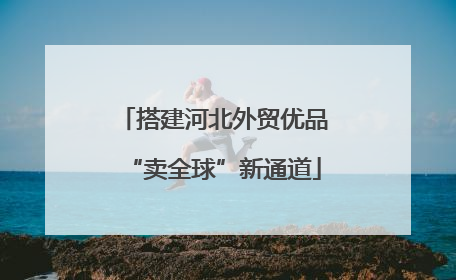 搭建河北外贸优品“卖全球”新通道