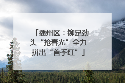 播州区：铆足劲头“抢春光”全力拼出“首季红”