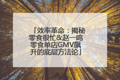 效率革命：揭秘零食很忙&赵一鸣零食单店GMV飙升的底层方法论