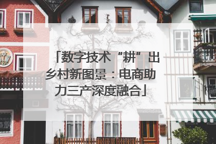 数字技术“耕”出乡村新图景：电商助力三产深度融合