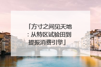 方寸之间见天地：从特区试验田到提振消费引擎