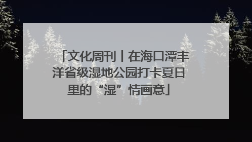 文化周刊丨在海口潭丰洋省级湿地公园打卡夏日里的“湿”情画意