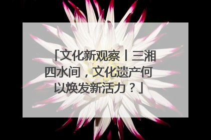 文化新观察丨三湘四水间，文化遗产何以焕发新活力？