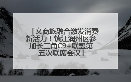 文商旅融合激发消费新活力！镇江润州区参加长三角C9+联盟第五次联席会议