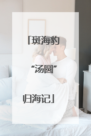 斑海豹“汤圆”归海记