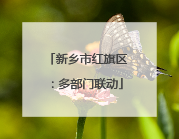 新乡市红旗区：多部门联动