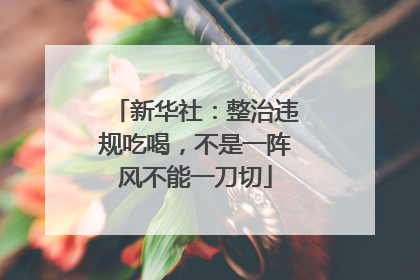 新华社：整治违规吃喝，不是一阵风不能一刀切