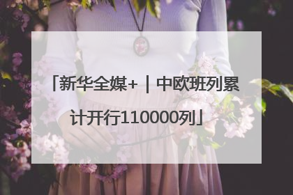 新华全媒+｜中欧班列累计开行110000列