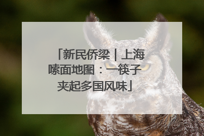 新民侨梁｜上海嗦面地图：一筷子夹起多国风味