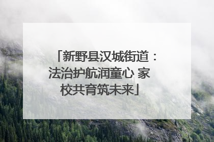 新野县汉城街道：法治护航润童心 家校共育筑未来