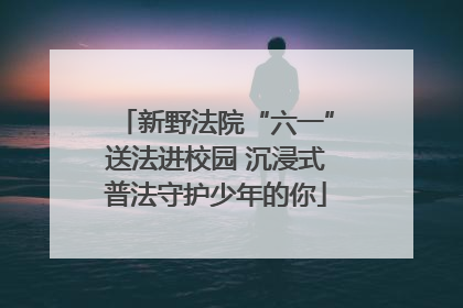 新野法院“六一”送法进校园 沉浸式普法守护少年的你