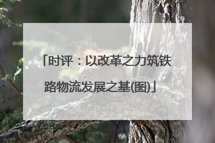 时评：以改革之力筑铁路物流发展之基(图)