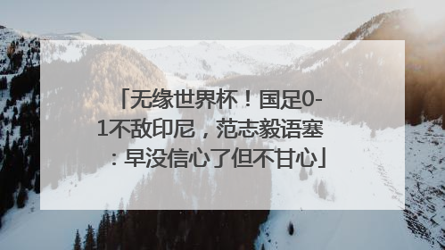 无缘世界杯！国足0-1不敌印尼，范志毅语塞：早没信心了但不甘心