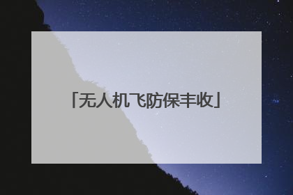 无人机飞防保丰收