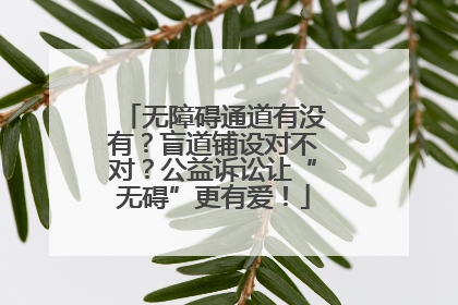 无障碍通道有没有？盲道铺设对不对？公益诉讼让“无碍”更有爱！