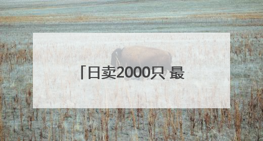 日卖2000只 最远卖到新疆 宁波慈溪非遗粽凭啥火出圈