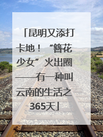 昆明又添打卡地！“簪花少女”火出圈——有一种叫云南的生活之365天