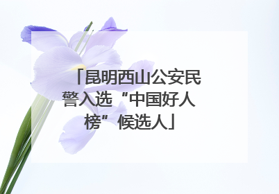 昆明西山公安民警入选“中国好人榜”候选人