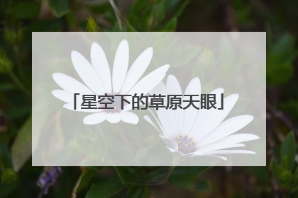 星空下的草原天眼