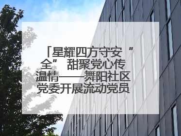 星耀四方守安“全” 甜聚党心传温情——舞阳社区党委开展流动党员建党节主题活动